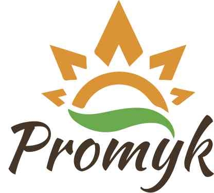 logo Promyk